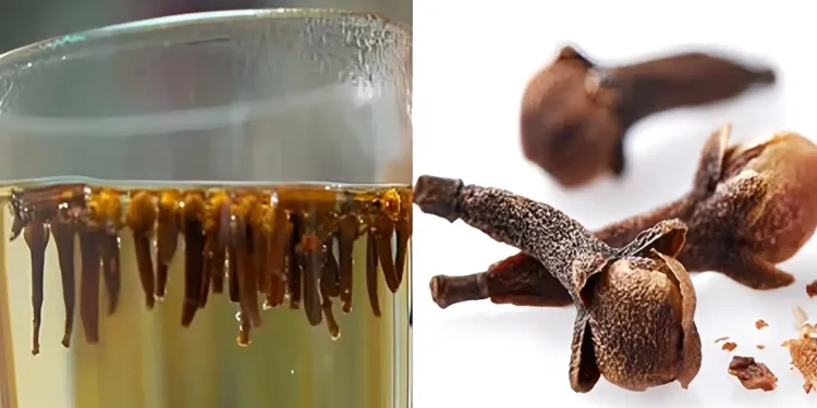 Τα απρόσμενα οφέλη του να πίνετε νερό με γαρύφαλλο