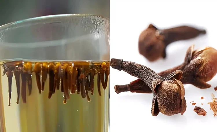 Τα απρόσμενα οφέλη του να πίνετε νερό με γαρύφαλλο