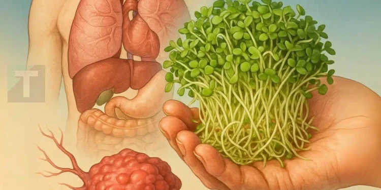 Η πιο ισχυρή αντικαρκινική τροφή που πιθανώς δεν έχετε δοκιμάσει ποτέ