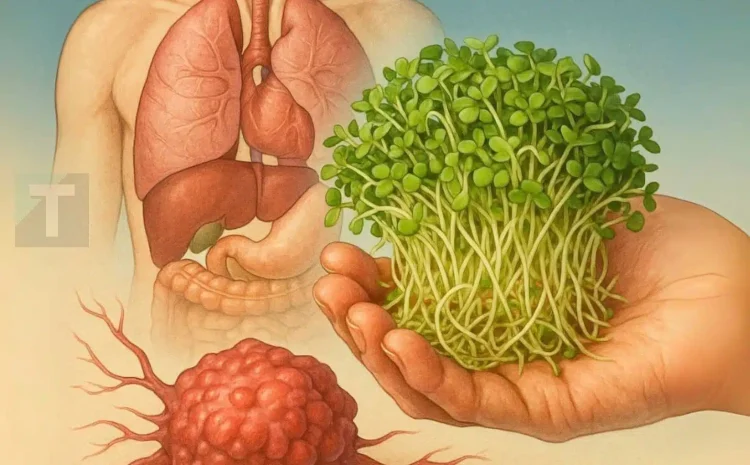 Η πιο ισχυρή αντικαρκινική τροφή που πιθανώς δεν έχετε δοκιμάσει ποτέ