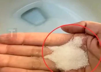 Βάλτε αλάτι στη λεκάνη της τουαλέτας σας. Δείτε γιατί. Αυτό είναι κάτι που οι υδραυλικοί δεν θα σας πουν ποτέ