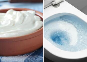 Πέταξε ένα γιαούρτι μέσα στη λεκάνη και έλυσε ένα από τα μεγαλύτερα προβλήματα κάθε νοικοκυράς!