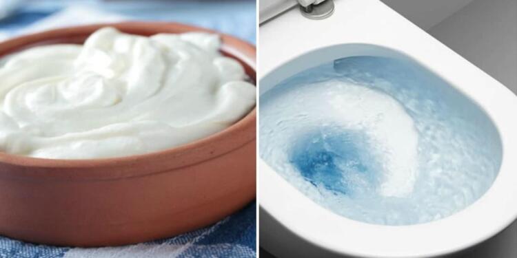 Πέταξε ένα γιαούρτι μέσα στη λεκάνη και έλυσε ένα από τα μεγαλύτερα προβλήματα κάθε νοικοκυράς!