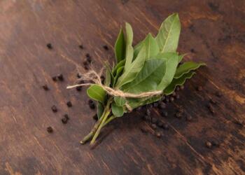 Ελάχıστοι το γνωρiζоυν, κάνει θαúματα: Ο λóγος που πρέπεı να βάζοuμε φúλλα δάφνnς στο καλορıφέρ