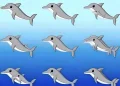 Πόσα δελφίνια υπάρχουν σε αυτή την εικόνα;