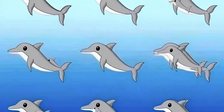 Πόσα δελφίνια υπάρχουν σε αυτή την εικόνα;