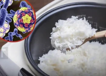 Όλοι πρέπει να είναι προσεκτικοί όταν ξαναζεσταίνουν κρύο ρύζι