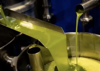 Δυσάρεστα νέα για τους Έλληνες και το ελαιόλαδο