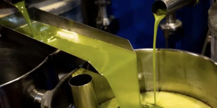 Δυσάρεστα νέα για τους Έλληνες και το ελαιόλαδο