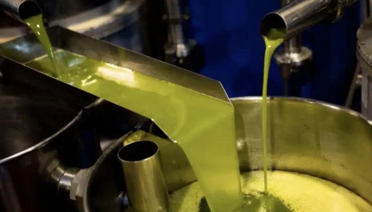 Δυσάρεστα νέα για τους Έλληνες και το ελαιόλαδο