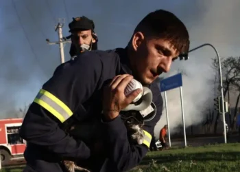 Πυροσβέστες έσωσαν γατάκια από τη φωτιά στο εργοστάσιο στο Μενίδι
