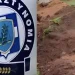 Αδιανόητο περιστατικό στη χώρα μας – Έθαψε στην αυλή του σπιτιού την μητέρα της για να παίρνει την σύνταξη της