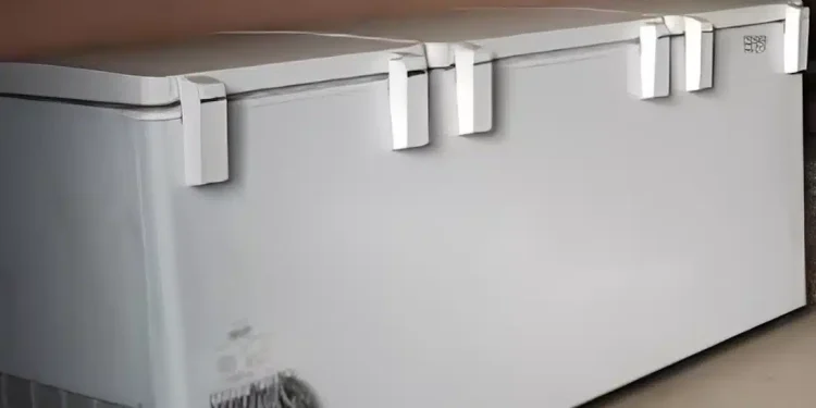 Μακάβριο μυστικό: Μητέρα κρατούσε το πτώμα της κόρης της σε καταψύκτη για 20 χρόνια