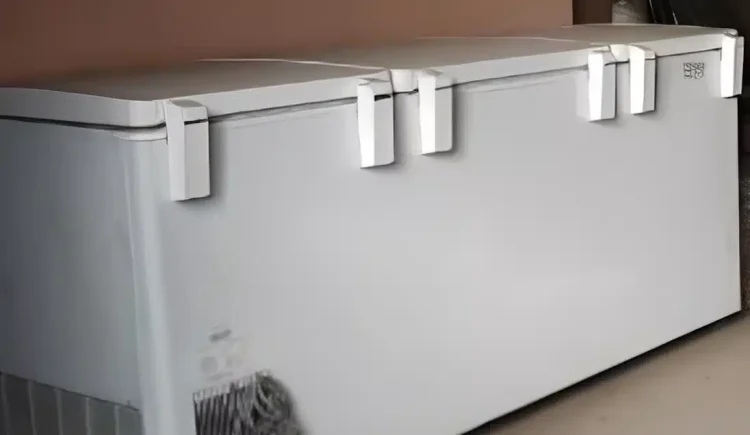 Μακάβριο μυστικό: Μητέρα κρατούσε το πτώμα της κόρης της σε καταψύκτη για 20 χρόνια