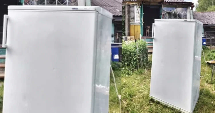 Ένας από τους γείτονές μου αποφάσισε να δώσει νέα ζωή στο παλιό του ψυγείο αντί να το πετάξει