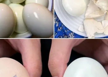 Τέλεια βραστά αυγά: Ένας απλός οδηγός για να το κάνετε σωστά