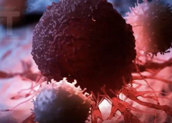 8 από τις καλύτερες αντικαρκινικές τροφές. Ήρθε η ώρα να τις προσθέσετε στη διατροφή σας