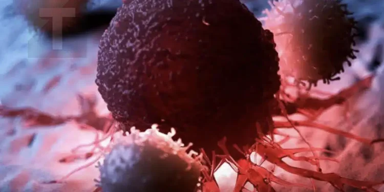 8 από τις καλύτερες αντικαρκινικές τροφές. Ήρθε η ώρα να τις προσθέσετε στη διατροφή σας