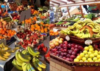 Έχει αντικαρκινική δράση, μειώνει πίεση, βελτιώνει μνήμη: Ο Βασιλιάς των φρούτων που δεν τρώει σχεδόν κανείς