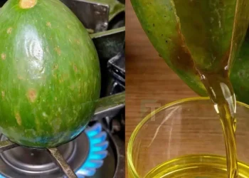 Πώς να φτιάξετε σπιτικό λάδι αβοκάντο με τον εύκολο τρόπο