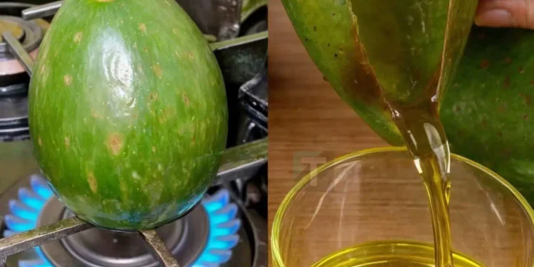 Πώς να φτιάξετε σπιτικό λάδι αβοκάντο με τον εύκολο τρόπο