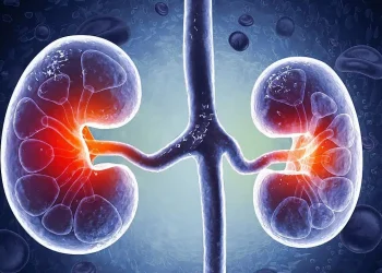 Η διατροφή που «σώζει» τα νεφρά – Τι να κόψετε αμέσως και τι να τρώτε κάθε μέρα