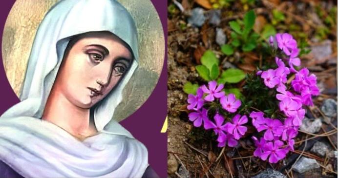 Εορτολόγιο: Μεγάλη γιορτή της Ορθοδοξίας σήμερα – Η θαυματουργή Αγία που γιορτάζει με το πανέμορφο όνομα