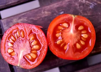 Οφέλη και ιδιότητες του χυμού ντομάτας: Ένας διατροφικός θησαυρός για την υγεία σας