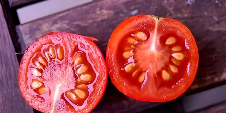 Οφέλη και ιδιότητες του χυμού ντομάτας: Ένας διατροφικός θησαυρός για την υγεία σας