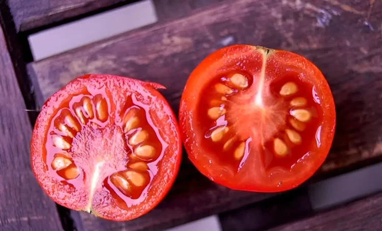 Οφέλη και ιδιότητες του χυμού ντομάτας: Ένας διατροφικός θησαυρός για την υγεία σας