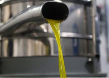 ΣΟΚ! Δες πόσο θα πληρώσεις φέτος το λάδι