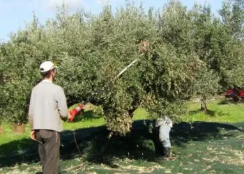 Τεστ για διάνοιες: Mπορείτε να βρείτε τον αριθμό που λείπει σε 23 δευτερόλεπτα;