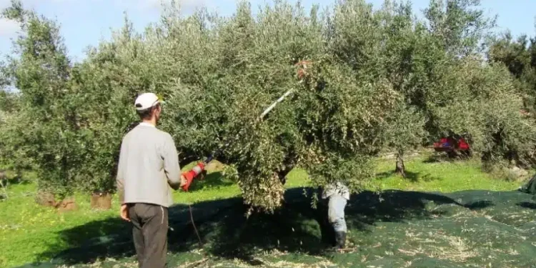 Τεστ για διάνοιες: Mπορείτε να βρείτε τον αριθμό που λείπει σε 23 δευτερόλεπτα;