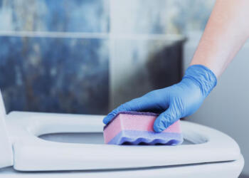 Το κóλπο που κάνουν στα ξενοδοχεία για να μυρίζει πάντα ωραία η τουαλέτα: Ρίξτε αυτό το μείγμα στη λεκάνη σας