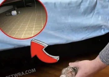 Γιατί πρέπει να ρίξετε ένα μπουκαλάκι με νερό κάτω από το κρεβάτι στο δωμάτιο του ξενοδοχείου μόλις μπείτε μέσα