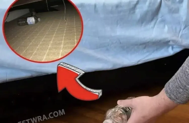 Γιατί πρέπει να ρίξετε ένα μπουκαλάκι με νερό κάτω από το κρεβάτι στο δωμάτιο του ξενοδοχείου μόλις μπείτε μέσα