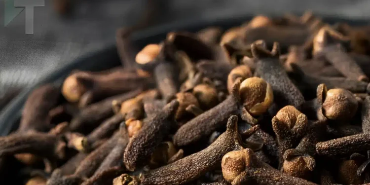 Τα οφέλη του αφεψήματος με γαρύφαλλο