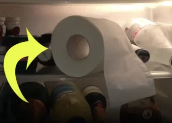 Ένα εκπληκτικό κόλπο για το ψυγείο για όλη την οικογένεια