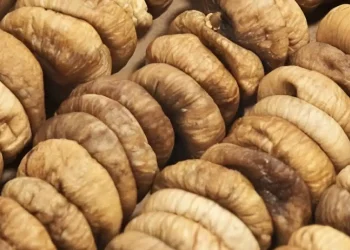 Γιατί οι Αρχαίοι Έλληνες έτρωγαν καθημερινά ξερά σύκα; – Τι ήξεραν για την «υπερτροφή»;