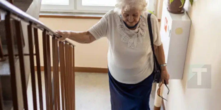 7 φρούτα που σταματούν την απώλεια δύναμης μετά τα 50