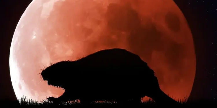 Έρχεται η «πανσέληνος του κάστορα» – Ορατή στον νυχτερινό ουρανό