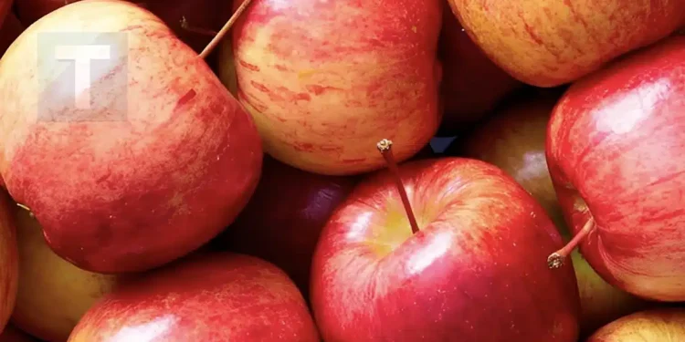 Αυτό που κανείς δεν σου είπε για τα μήλα – Μια φυσική ασπίδα