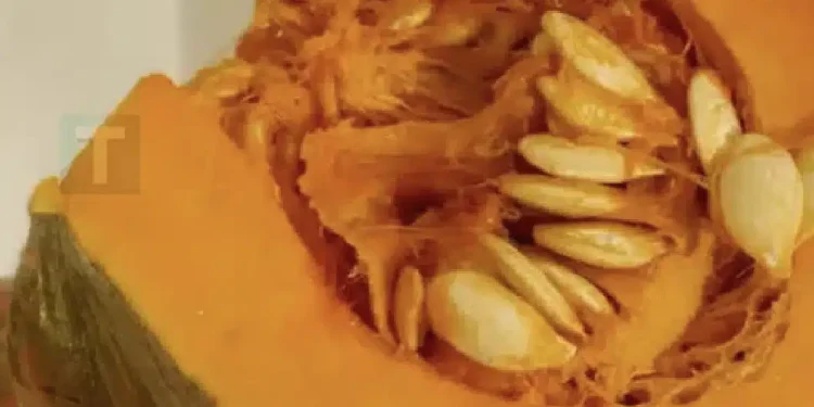 Οι γιατροί αποκαλύπτουν ότι η κατανάλωση κολοκύθας προκαλεί…