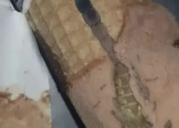 Η κόρη μου άνοιξε ένα παγωτό χωνάκι και βρήκε κάτι παράξενο μέσα, μείναμε άφωνοι όταν συνειδητοποιήσαμε τι ήταν