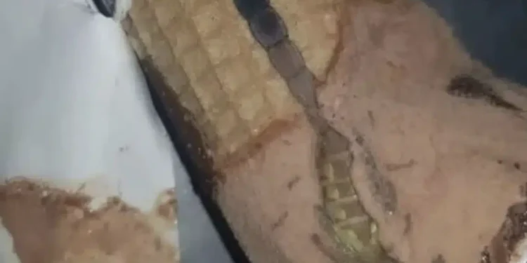 Η κόρη μου άνοιξε ένα παγωτό χωνάκι και βρήκε κάτι παράξενο μέσα, μείναμε άφωνοι όταν συνειδητοποιήσαμε τι ήταν