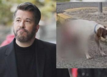 Βαρθακούρης: «Πυρ και μανία» για την κτηνωδία με τα βασανιστήρια σε σκύλο στην Ηλεία