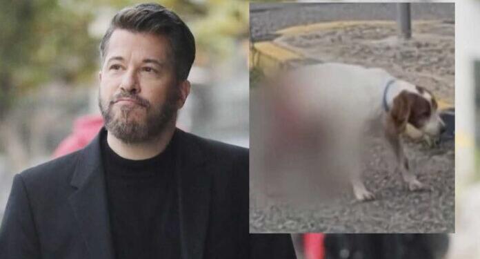 Βαρθακούρης: «Πυρ και μανία» για την κτηνωδία με τα βασανιστήρια σε σκύλο στην Ηλεία