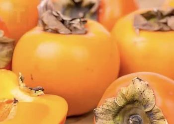 Οι ιδιότητες του λωτού, του γλυκού φθινοπωρινού φρούτου