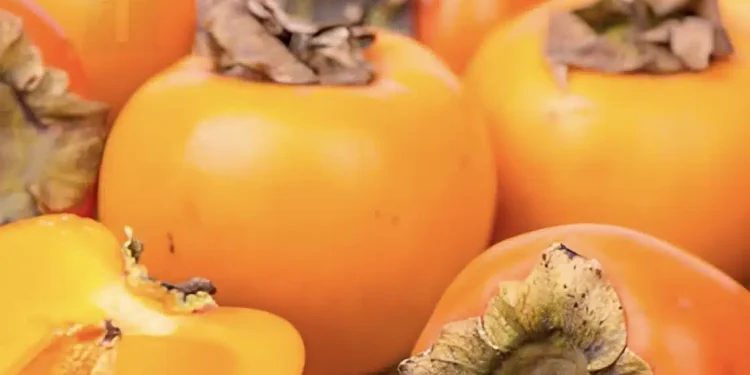 Οι ιδιότητες του λωτού, του γλυκού φθινοπωρινού φρούτου