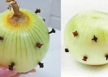 Η γιαγιά μου, που είναι Γαλλίδα, βάζει πάντα ένα γαρίφαλο στο κρεμμύδι: εκπλήχτηκα όταν έμαθα τον λόγο